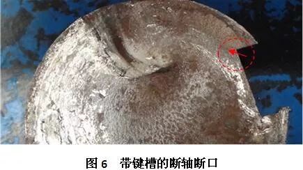 泰興減速機(jī),減速機(jī),泰興減速機(jī)廠,江蘇泰強(qiáng)減速機(jī)有限公司